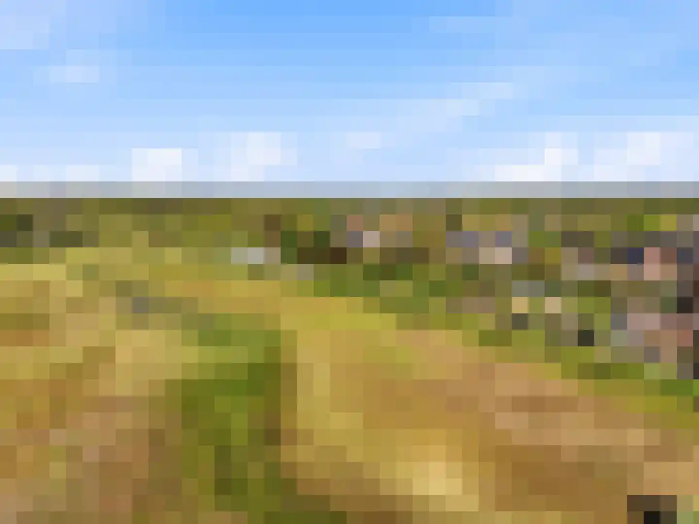 Beukenlaan 45 Renkum thumbnail 40
