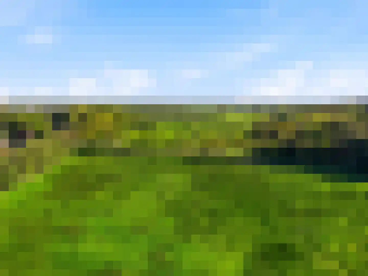 Beukenlaan 45 Renkum thumbnail 41