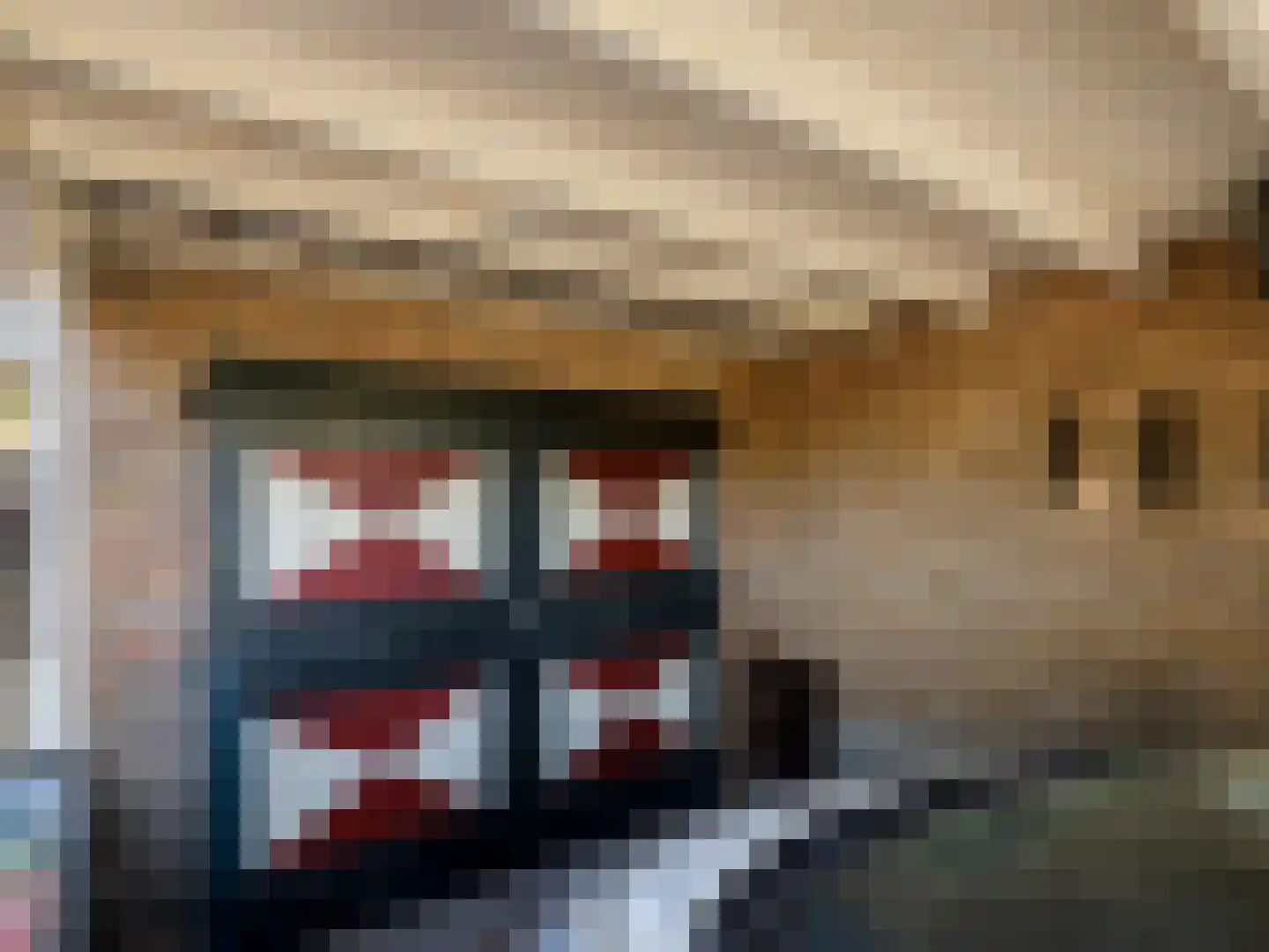 Beukenlaan 45 Renkum thumbnail 42