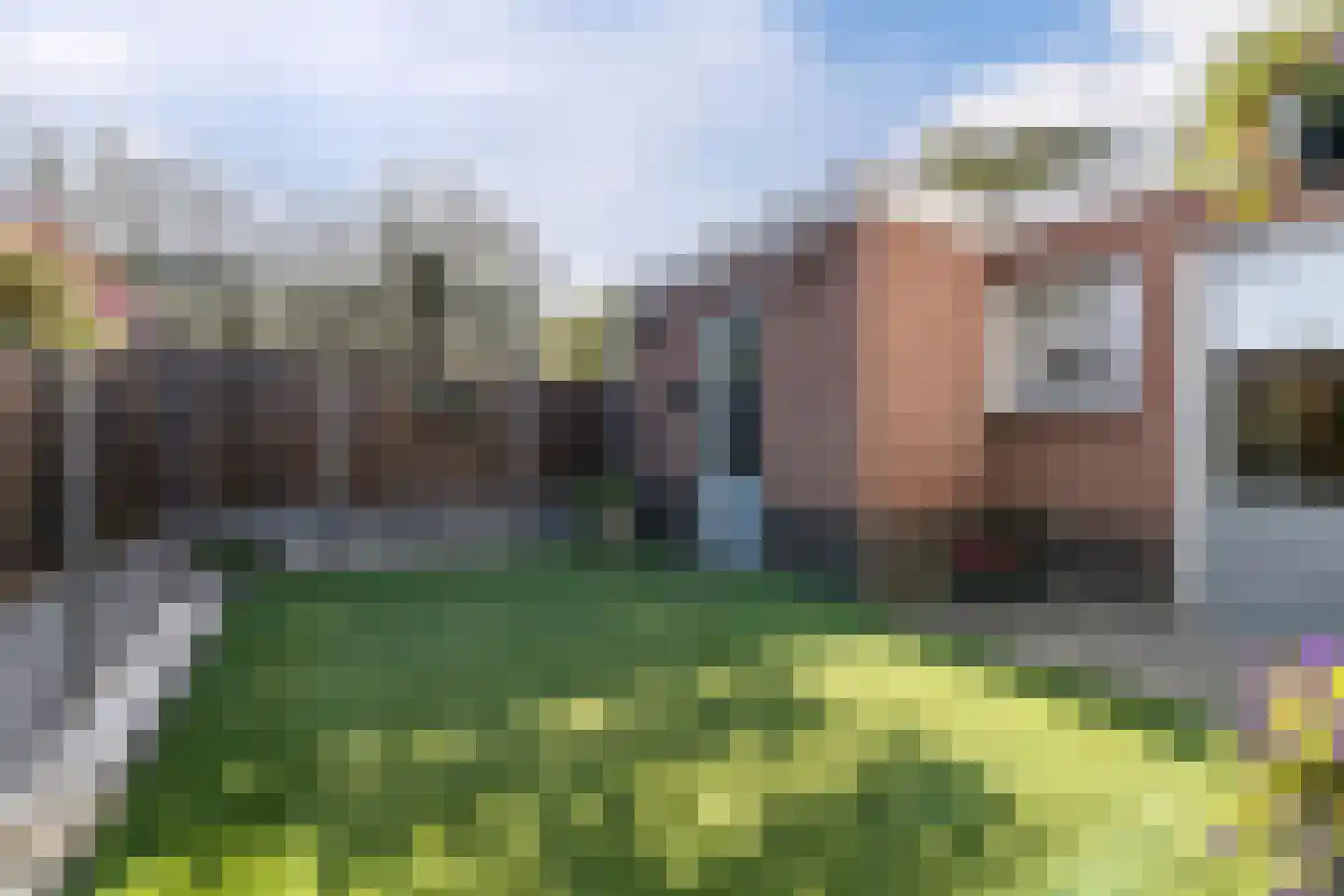 Beukenlaan 45 Westerhoven thumbnail 40