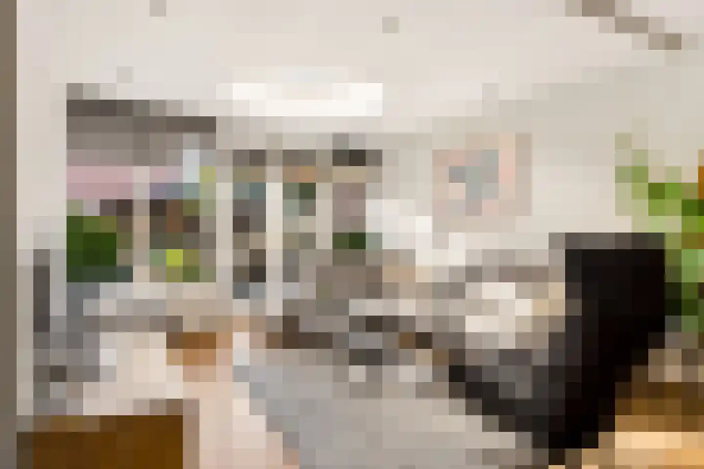 Beukenlaan 48 Eibergen thumbnail 4