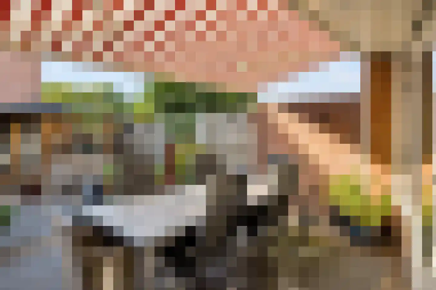Beukenlaan 48 Eibergen thumbnail 42