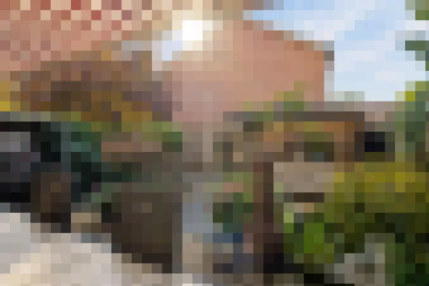 Beukenlaan 48 Eibergen thumbnail 44