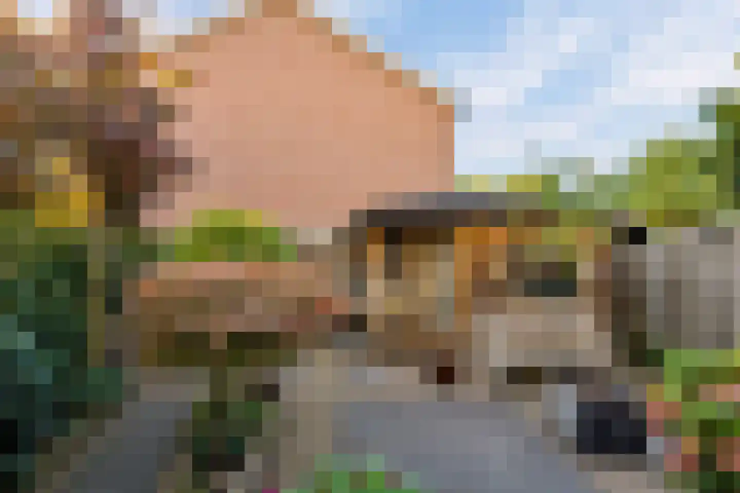 Beukenlaan 48 Eibergen thumbnail 45