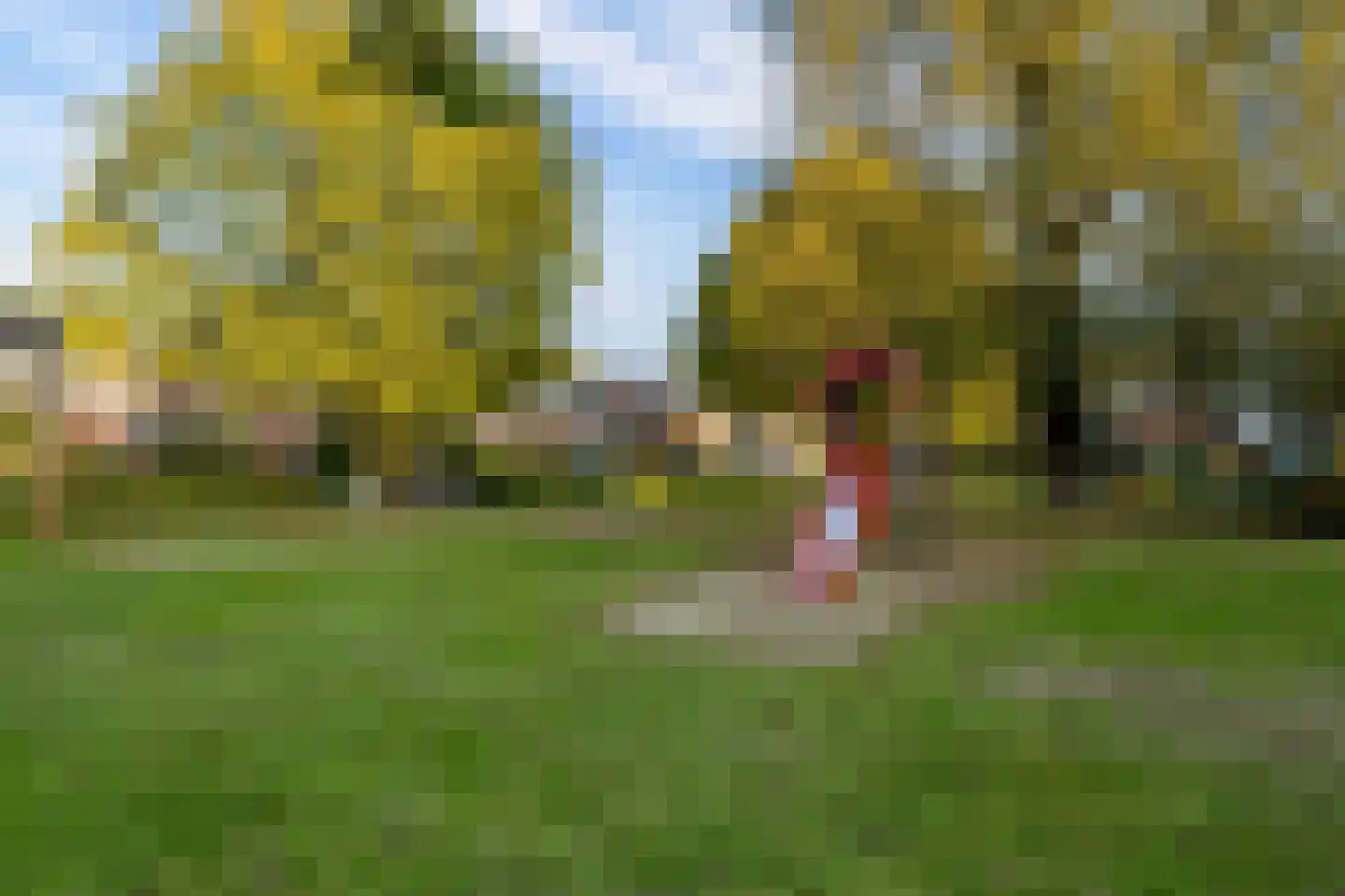 Beukenlaan 48 Eibergen thumbnail 53