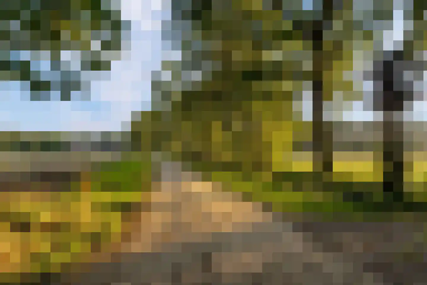 Beukenlaan 48 Eibergen thumbnail 54