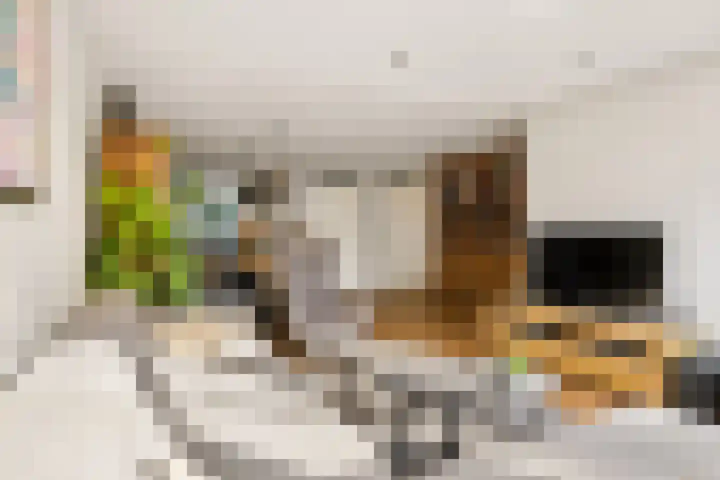 Beukenlaan 48 Eibergen thumbnail 8
