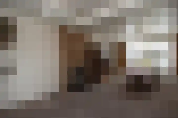 Beukenlaan 48 Reusel thumbnail 10
