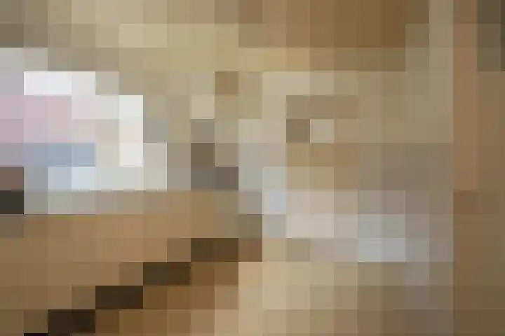 Beukenlaan 48 Reusel thumbnail 12