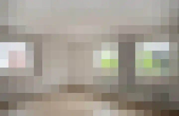 Beukenlaan 48 Reusel thumbnail 15