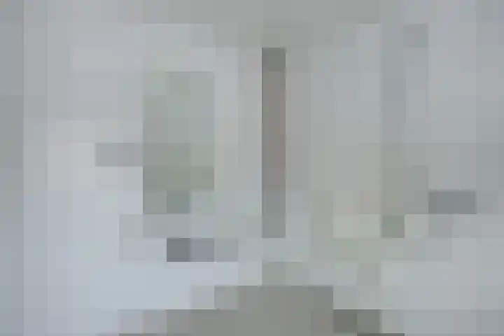 Beukenlaan 48 Reusel thumbnail 18