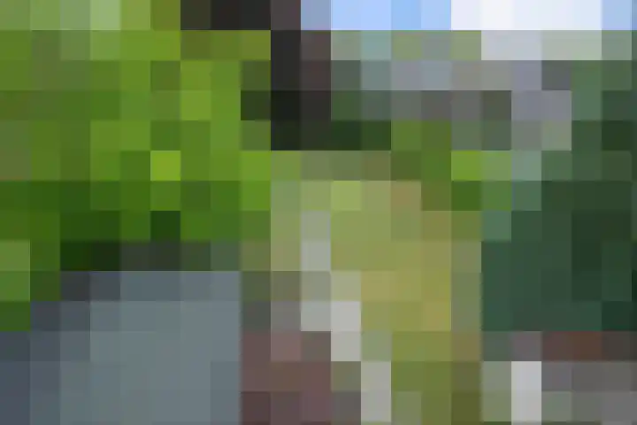 Beukenlaan 48 Reusel thumbnail 19