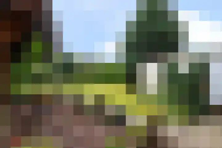 Beukenlaan 48 Reusel thumbnail 20