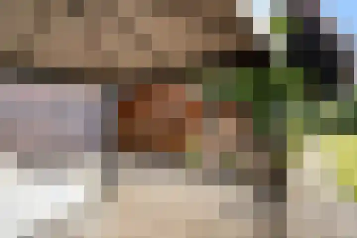 Beukenlaan 48 Reusel thumbnail 22