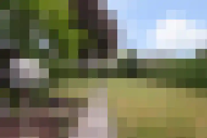 Beukenlaan 48 Reusel thumbnail 23