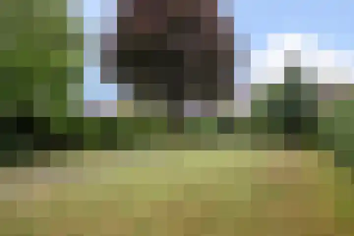 Beukenlaan 48 Reusel thumbnail 24