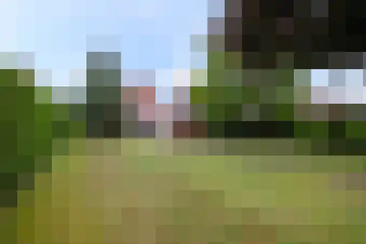Beukenlaan 48 Reusel thumbnail 25