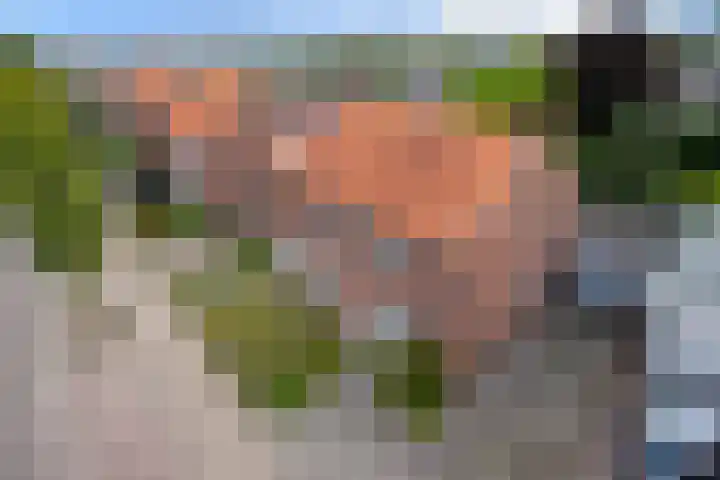 Beukenlaan 48 Reusel thumbnail 4