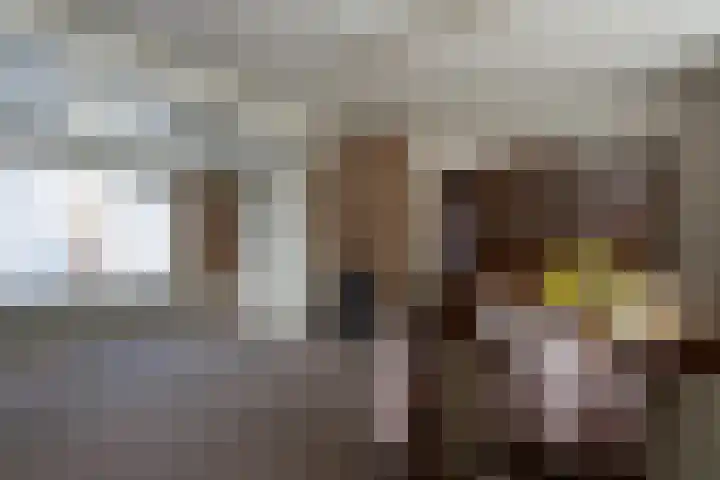 Beukenlaan 48 Reusel thumbnail 7