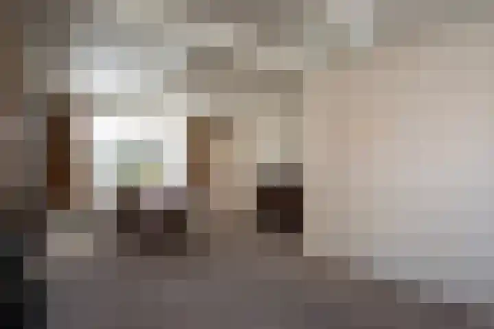 Beukenlaan 48 Reusel thumbnail 9