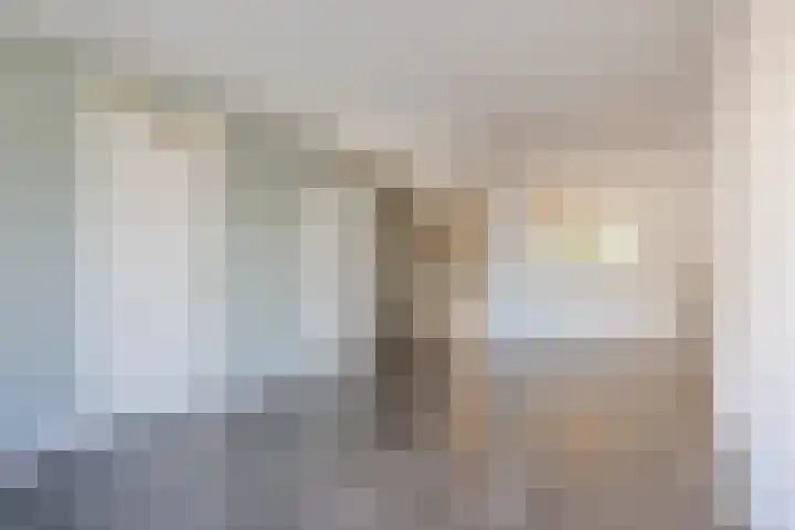 Beukenlaan 49 Oud Gastel thumbnail 22