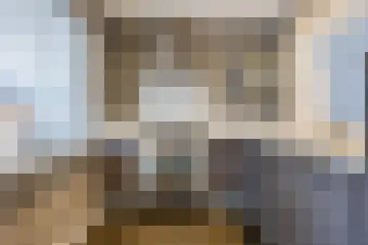 Beukenlaan 49 Oud Gastel thumbnail 28