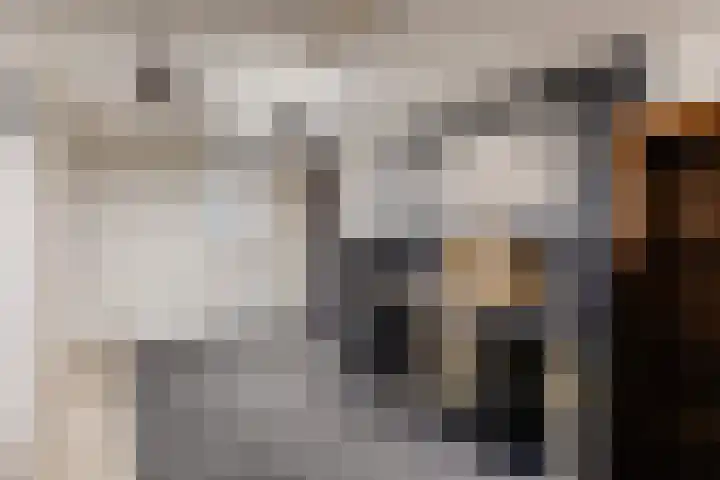 Beukenlaan 49 Oud Gastel thumbnail 33