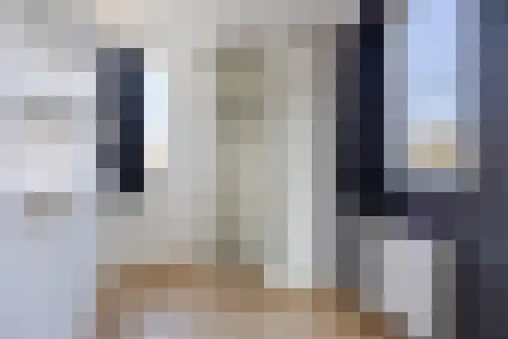 Beukenlaan 49 Oud Gastel thumbnail 38
