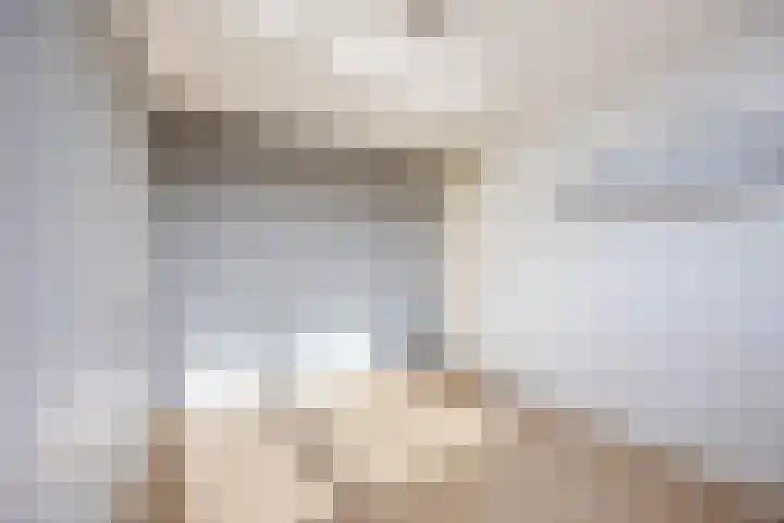 Beukenlaan 49 Oud Gastel thumbnail 44