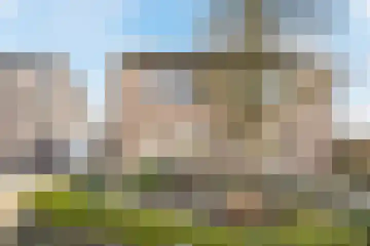 Beukenlaan 49 Oud Gastel thumbnail 5