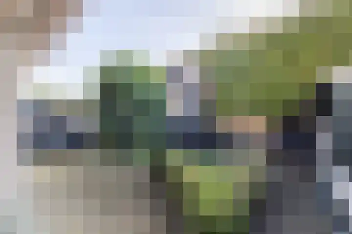 Beukenlaan 49 Oud Gastel thumbnail 53