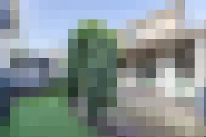 Beukenlaan 49 Oud Gastel thumbnail 54