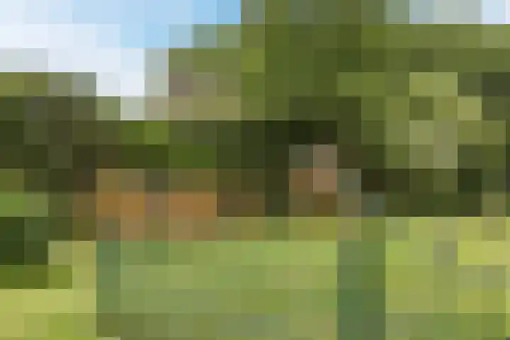 Beukenlaan 49 Oud Gastel thumbnail 61