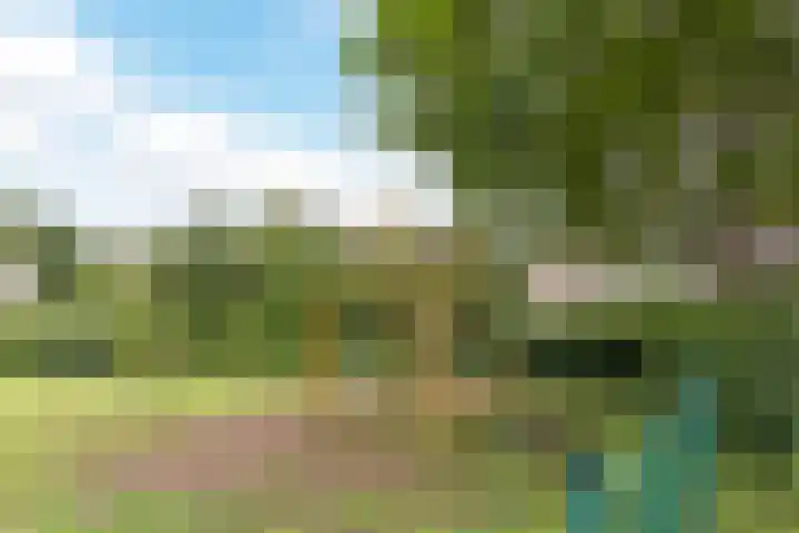Beukenlaan 49 Oud Gastel thumbnail 62
