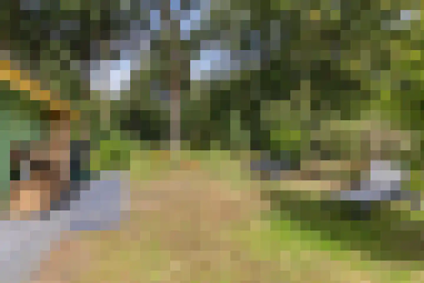 Beukenlaan 5 0002 Oudemirdum thumbnail 10