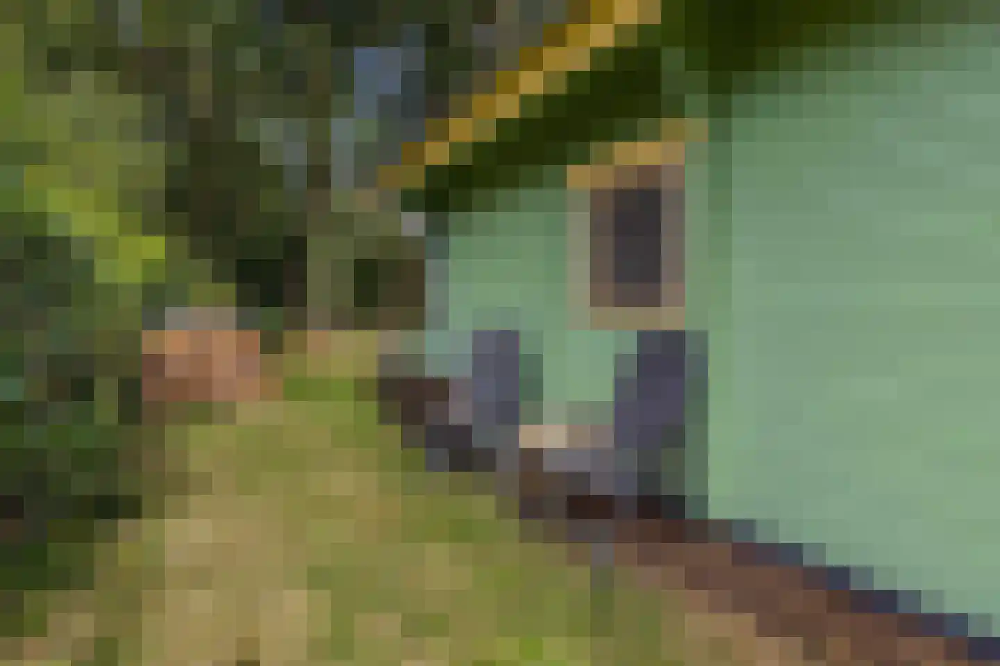 Beukenlaan 5 0002 Oudemirdum thumbnail 13