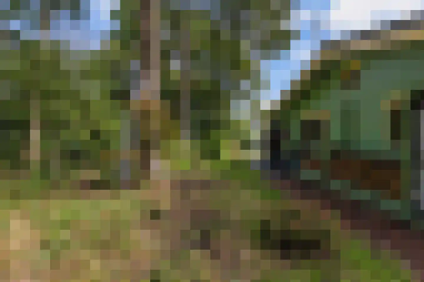 Beukenlaan 5 0002 Oudemirdum thumbnail 15