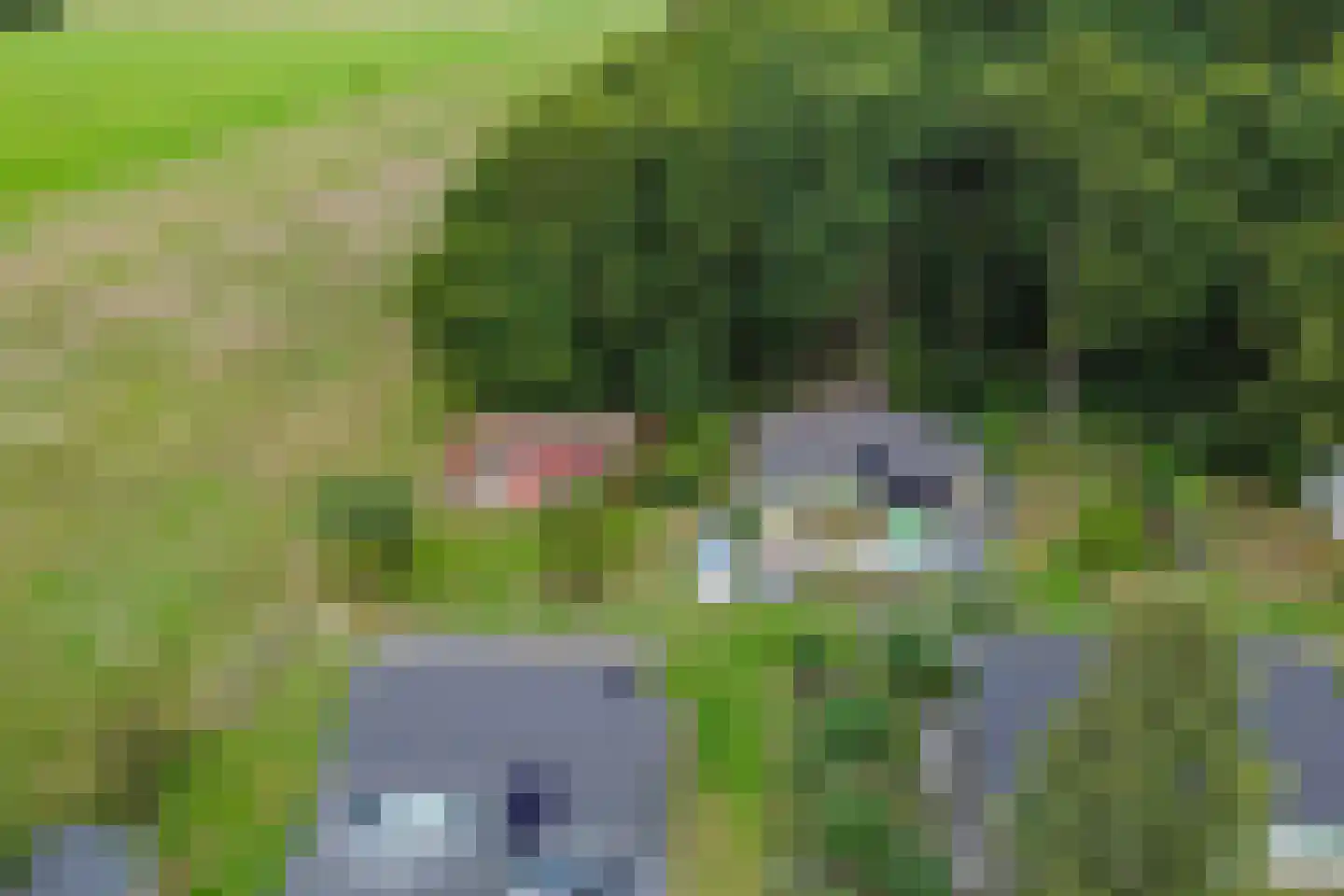 Beukenlaan 5 0002 Oudemirdum thumbnail 17