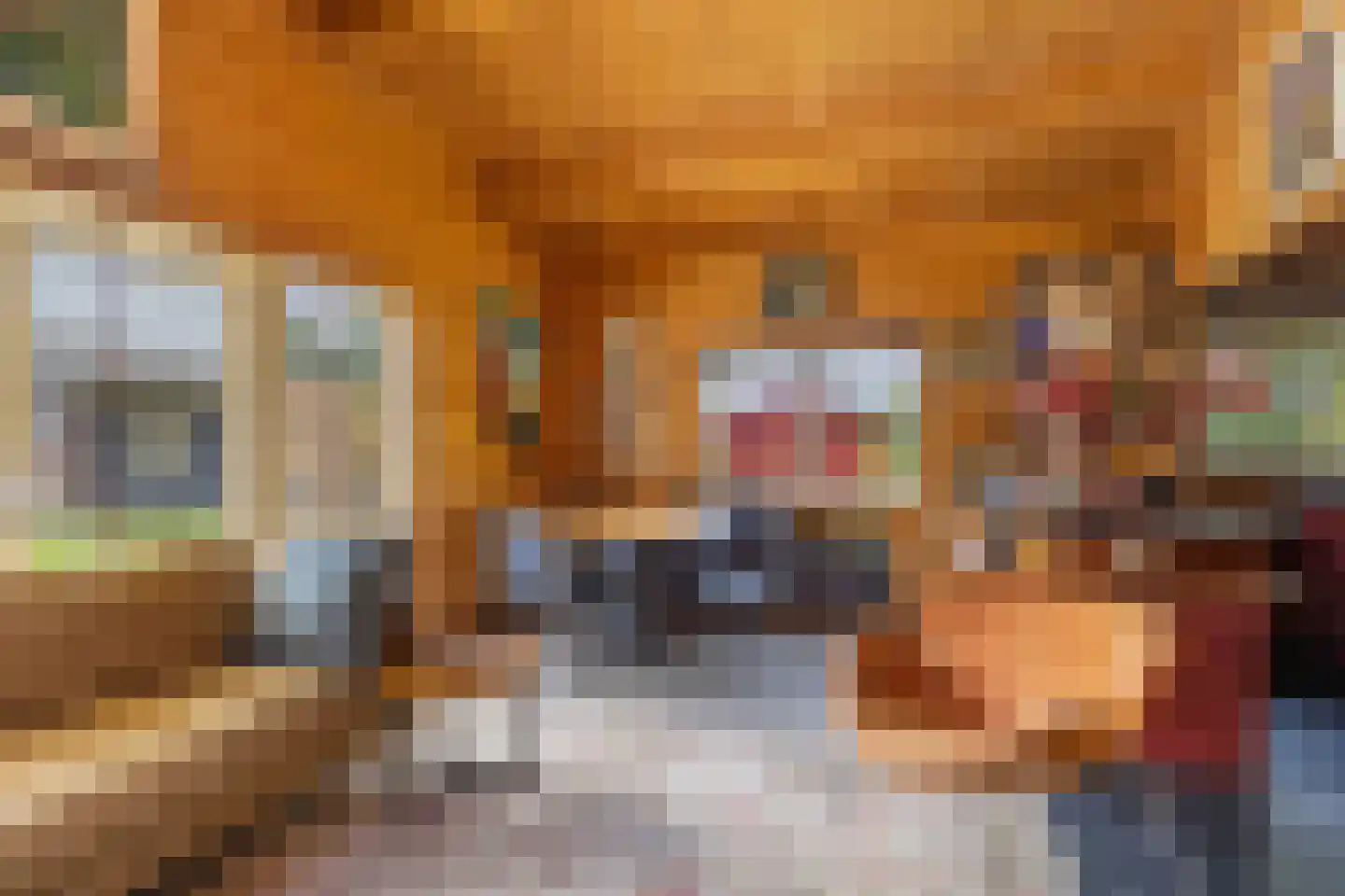 Beukenlaan 5 0002 Oudemirdum thumbnail 18