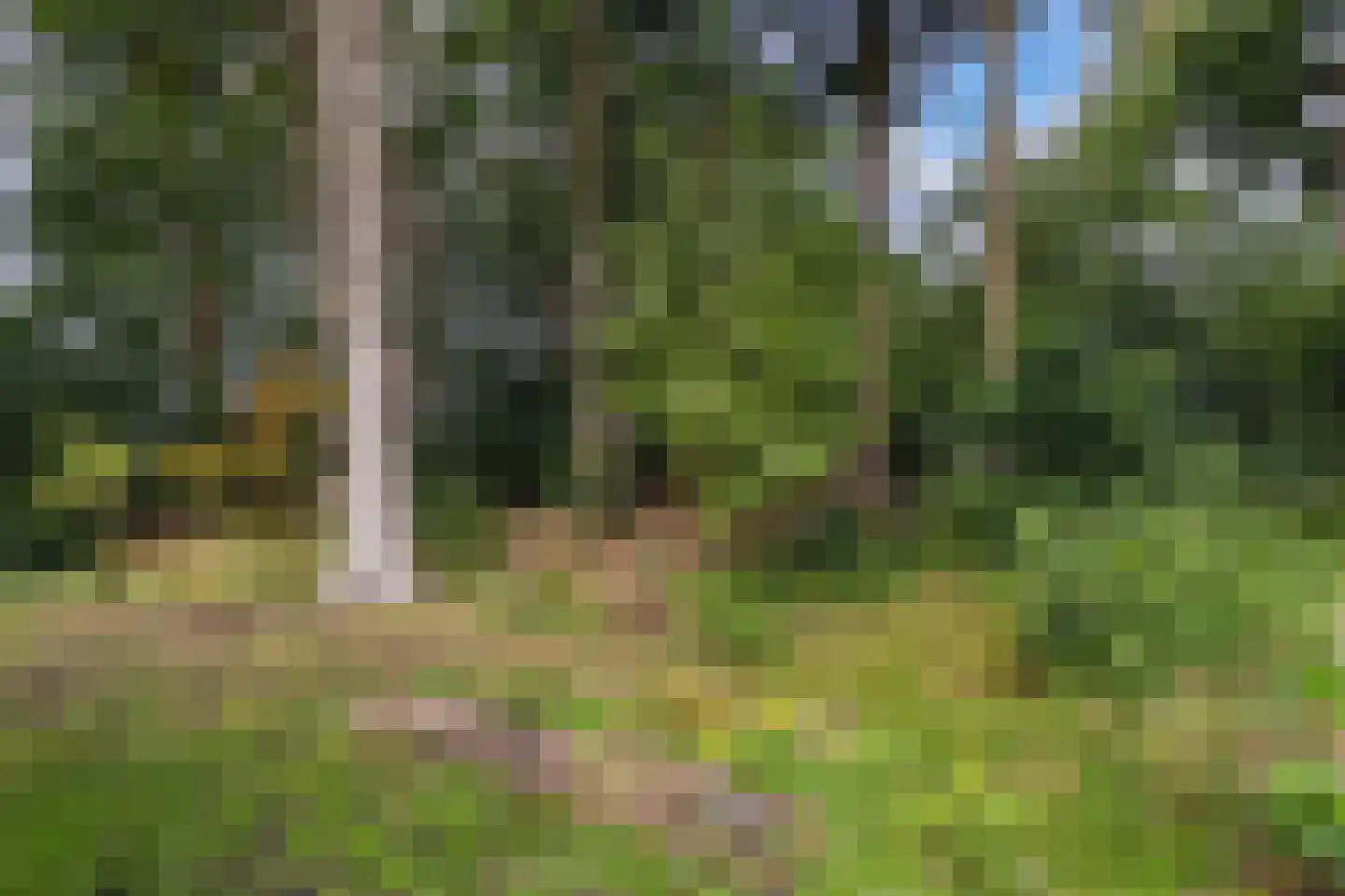 Beukenlaan 5 0002 Oudemirdum thumbnail 38