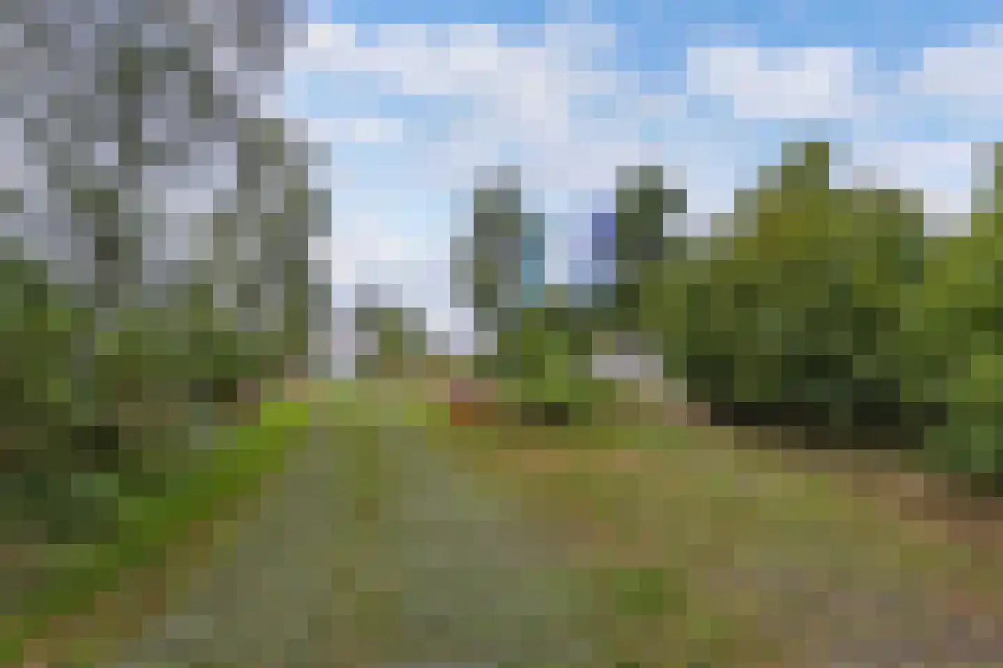 Beukenlaan 5 0002 Oudemirdum thumbnail 39