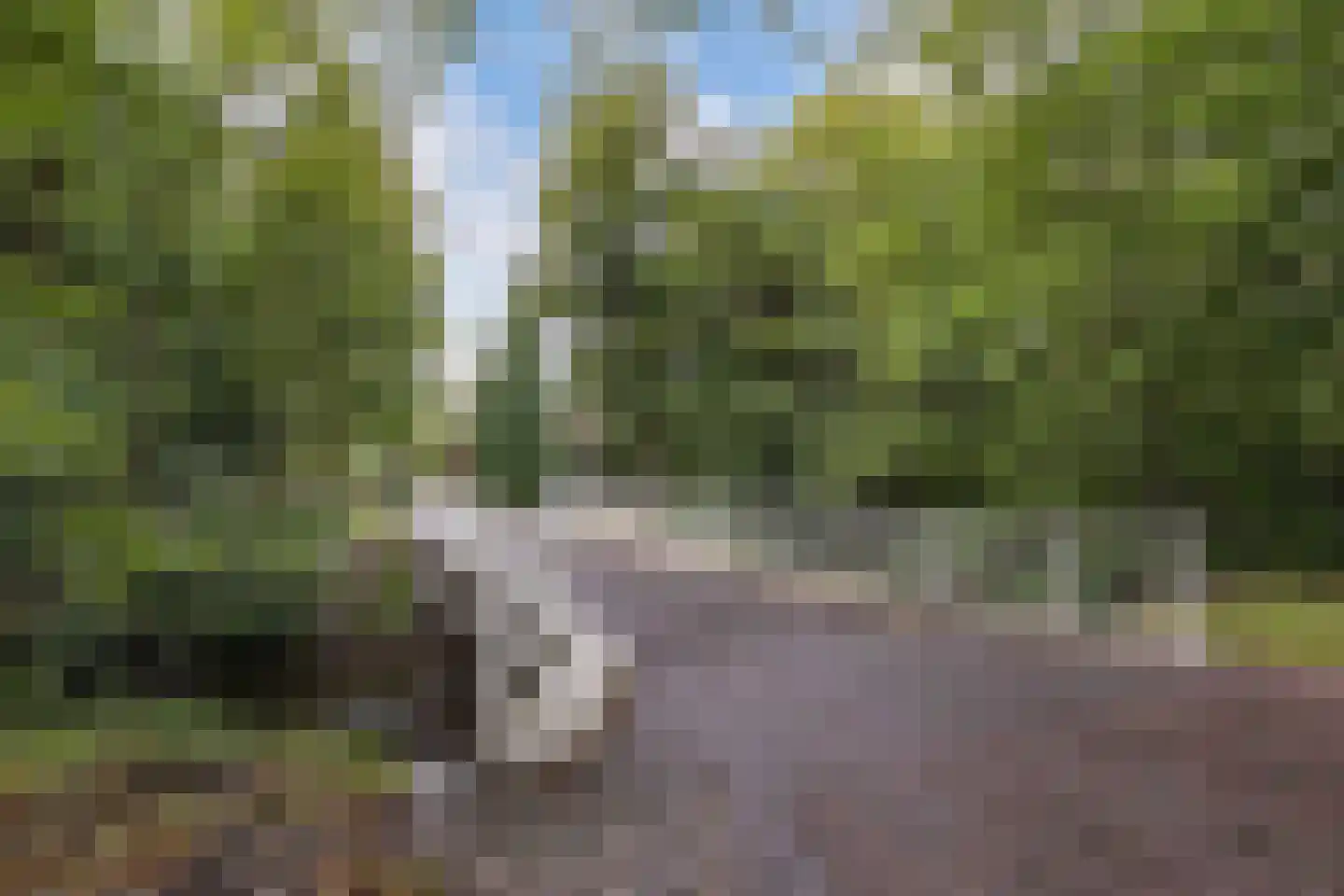 Beukenlaan 5 0002 Oudemirdum thumbnail 43