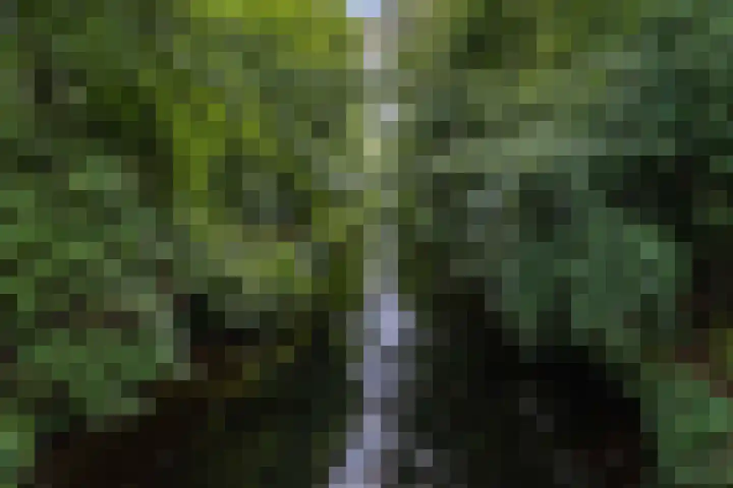 Beukenlaan 5 0002 Oudemirdum thumbnail 44