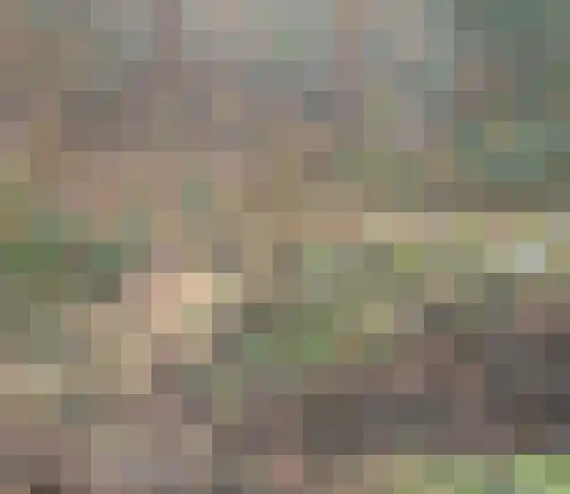 Beukenlaan 5 0002 Oudemirdum thumbnail 48