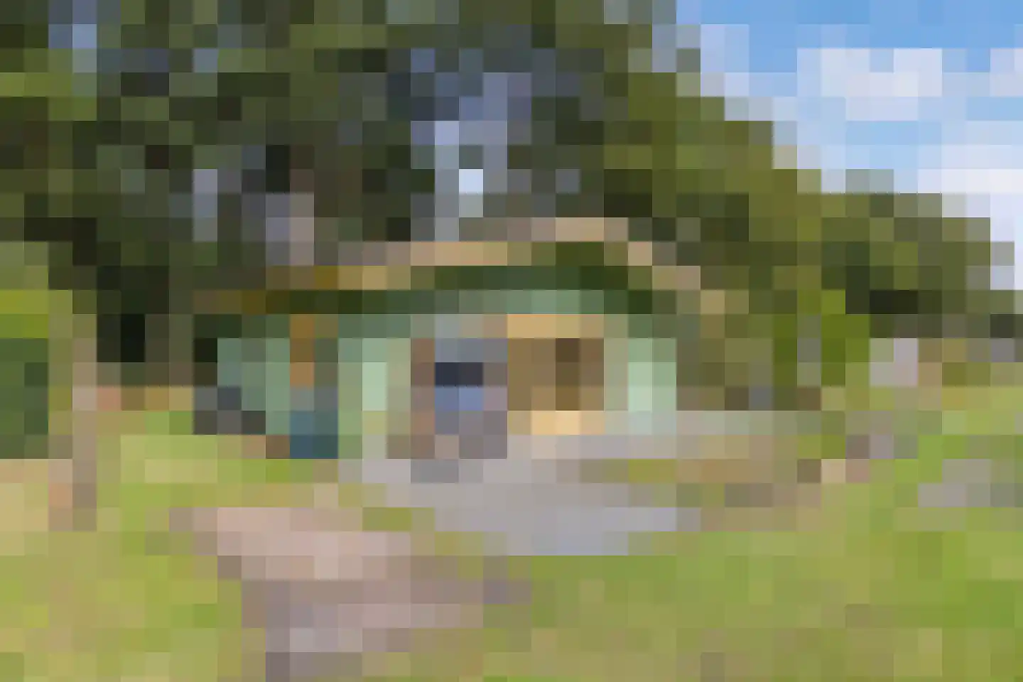 Beukenlaan 5 0002 Oudemirdum thumbnail 7