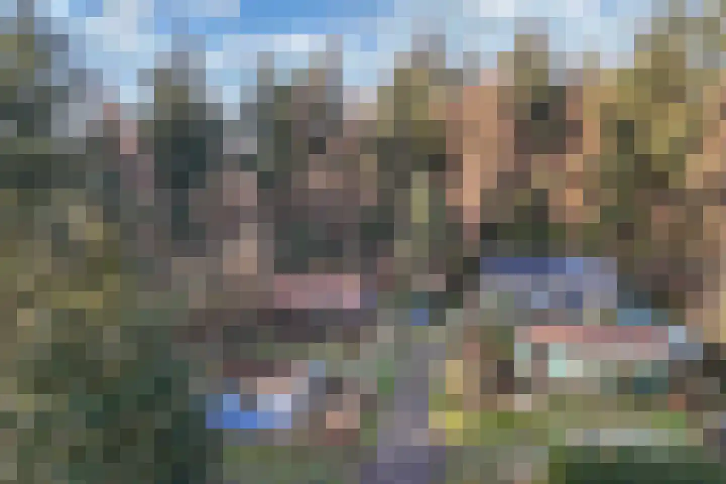 Beukenlaan 5 0008 Oudemirdum thumbnail 14