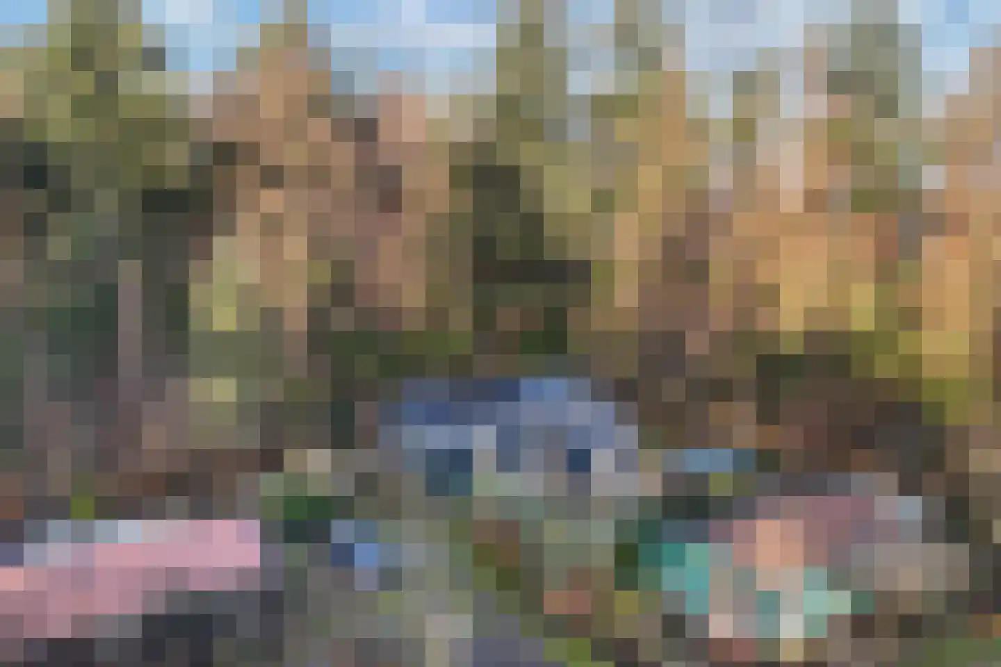 Beukenlaan 5 0008 Oudemirdum thumbnail 15