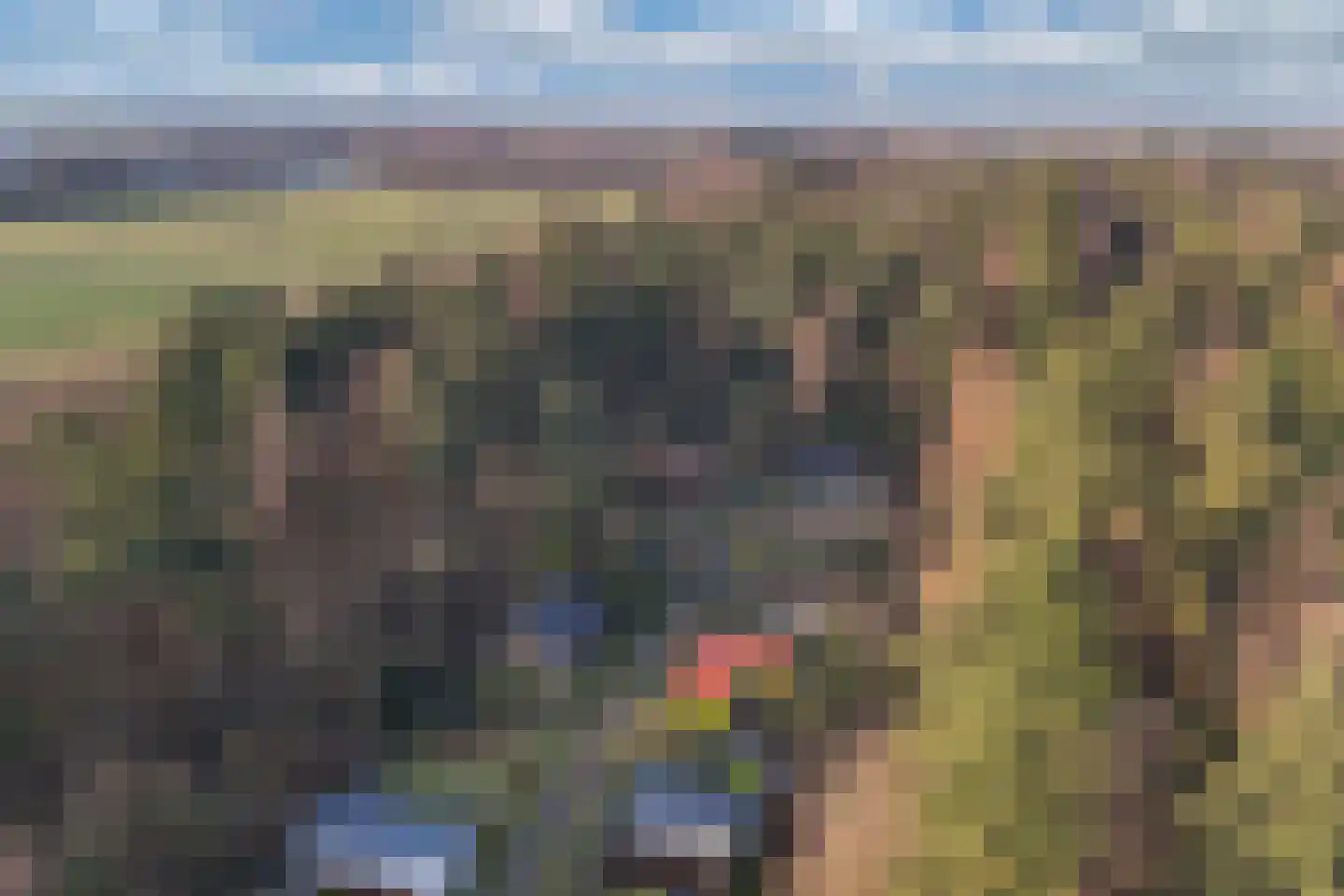 Beukenlaan 5 0008 Oudemirdum thumbnail 16