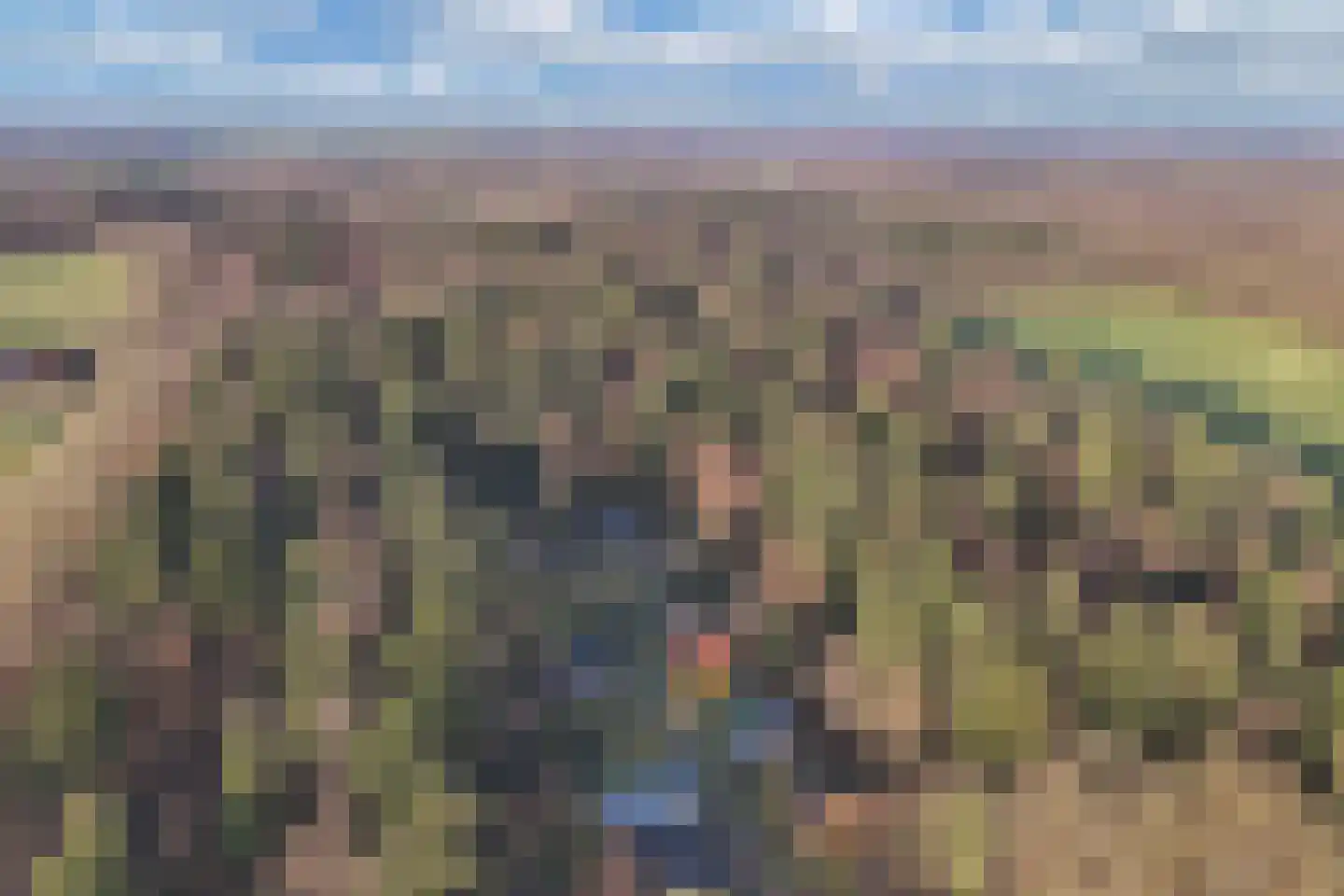 Beukenlaan 5 0008 Oudemirdum thumbnail 17
