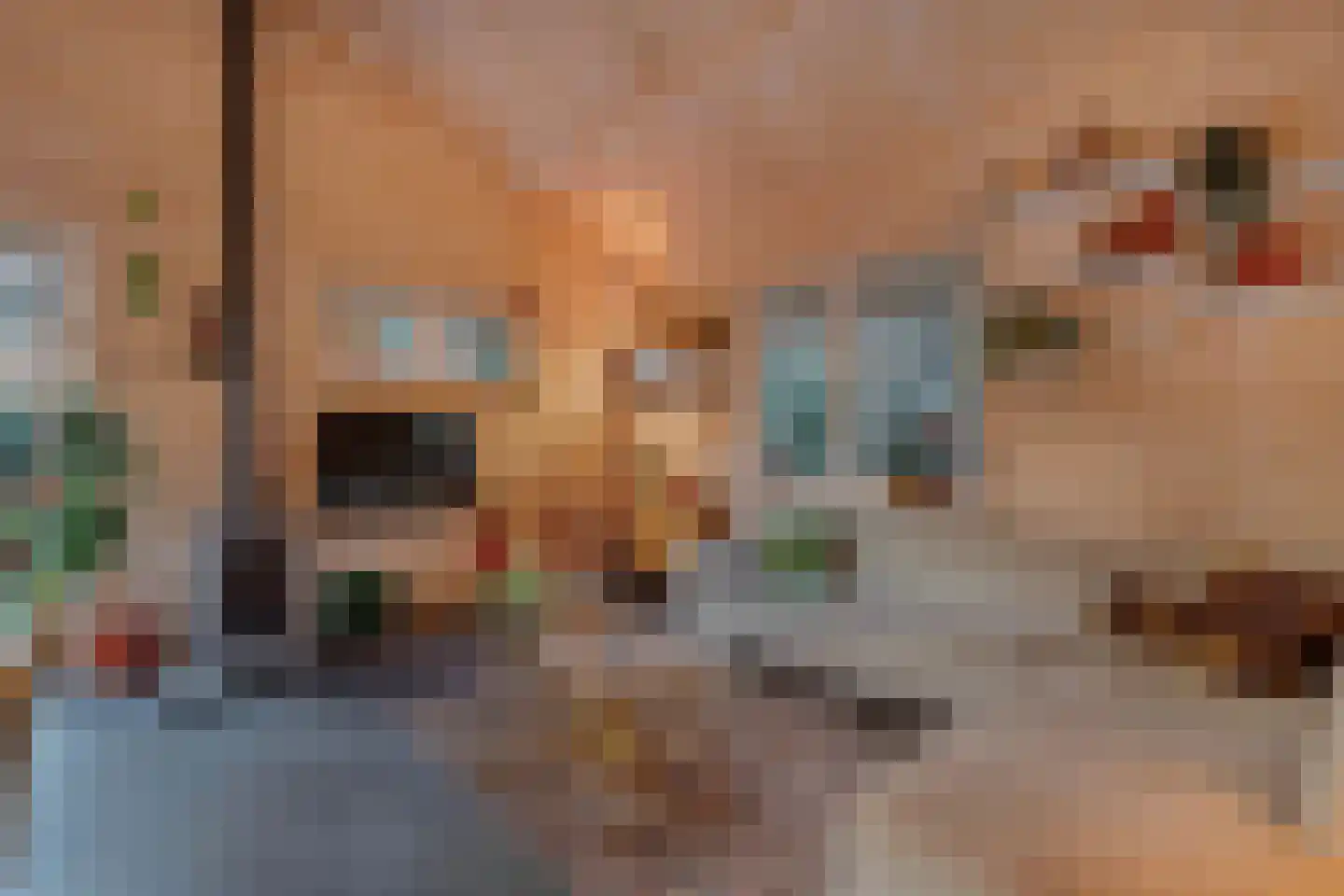 Beukenlaan 5 0008 Oudemirdum thumbnail 19